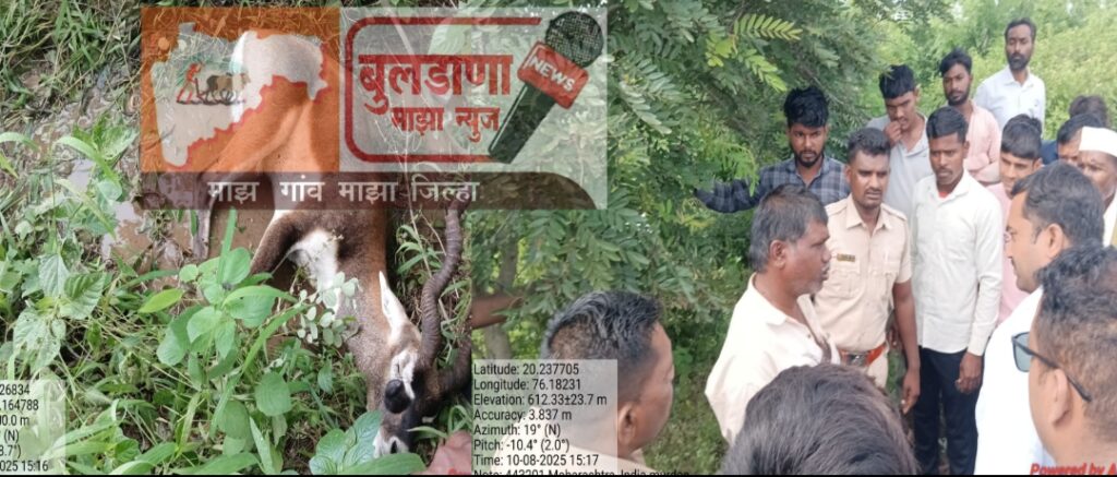 Screenshot_2025-08-10-20-25-03-78_99c04817c0de5652397fc8b56c3b3817