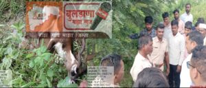 Screenshot_2025-08-10-20-25-03-78_99c04817c0de5652397fc8b56c3b3817