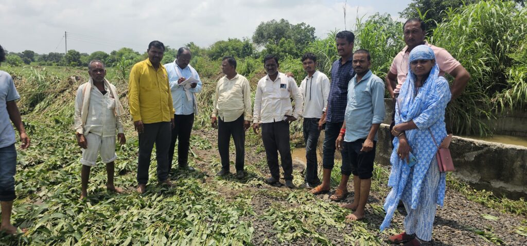 WhatsApp Image 2025-08-10 at 4.44.37 PM