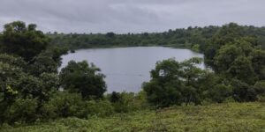 Screenshot_2025-09-01-07-36-32-99_99c04817c0de5652397fc8b56c3b3817