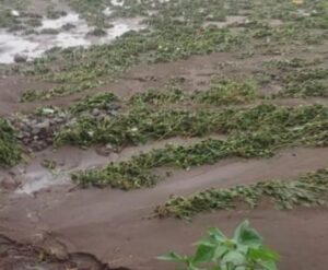 Screenshot_2025-09-22-20-21-23-67_6012fa4d4ddec268fc5c7112cbb265e7