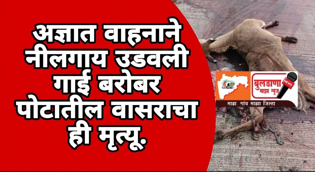 Screenshot_2025-09-25-19-11-49-49_3a637037d35f95c5dbcdcc75e697ce91