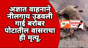 Screenshot_2025-09-25-19-11-49-49_3a637037d35f95c5dbcdcc75e697ce91