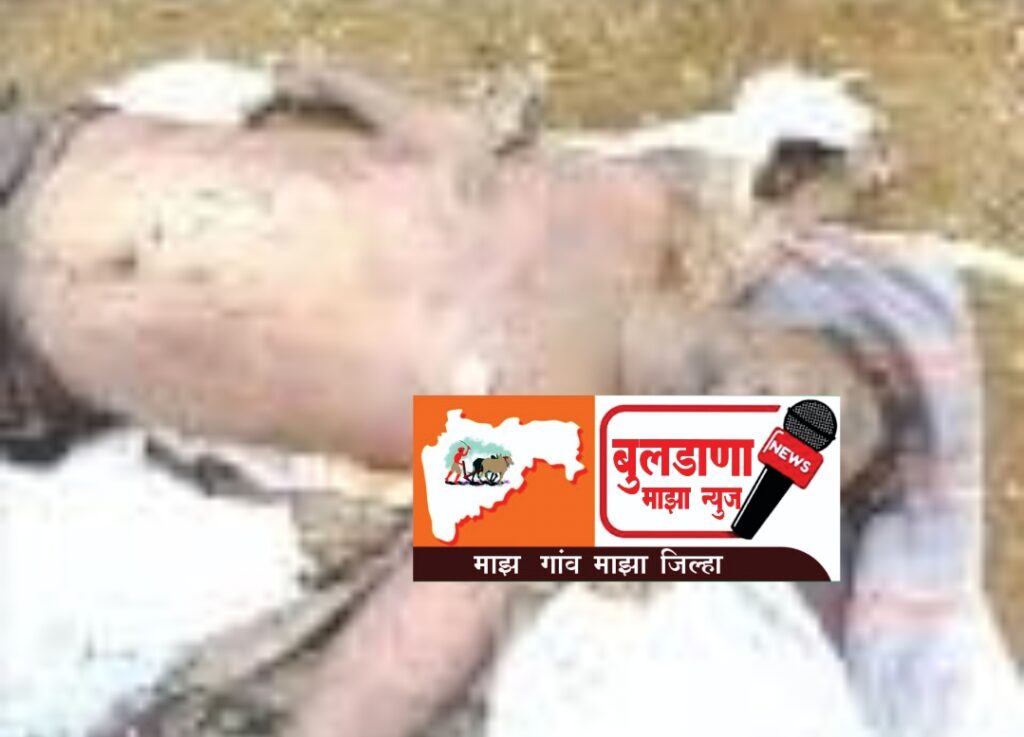 Screenshot_2025-10-27-19-51-12-88_3a637037d35f95c5dbcdcc75e697ce91