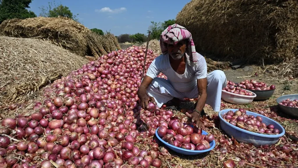 ONION FARMER AGRICULTURE DROUGHT ECONOMIC DISTRESS NASHIK_01