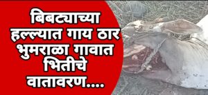 Screenshot_2025-11-06-21-51-44-33_3a637037d35f95c5dbcdcc75e697ce91