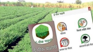 News_Story___2022_10_08T120623_670