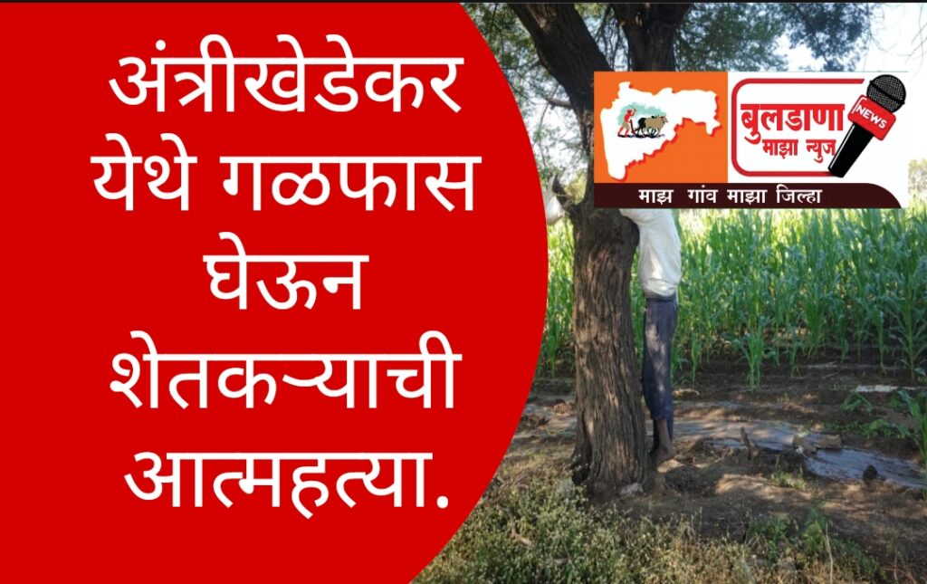 Screenshot_2025-12-29-11-30-45-11_3a637037d35f95c5dbcdcc75e697ce91