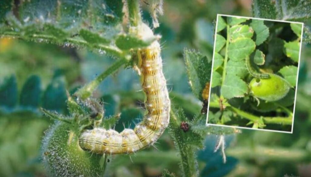 Screenshot_2026-01-08-18-14-57-41_3a637037d35f95c5dbcdcc75e697ce91