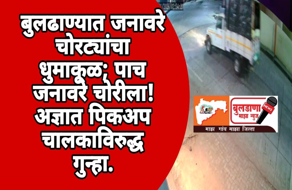 Screenshot_2026-01-11-12-06-13-41_3a637037d35f95c5dbcdcc75e697ce91