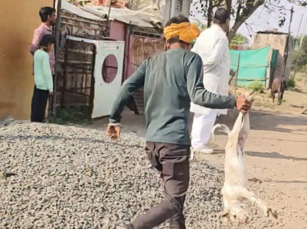 Screenshot_2026-01-11-20-53-37-59_6012fa4d4ddec268fc5c7112cbb265e7