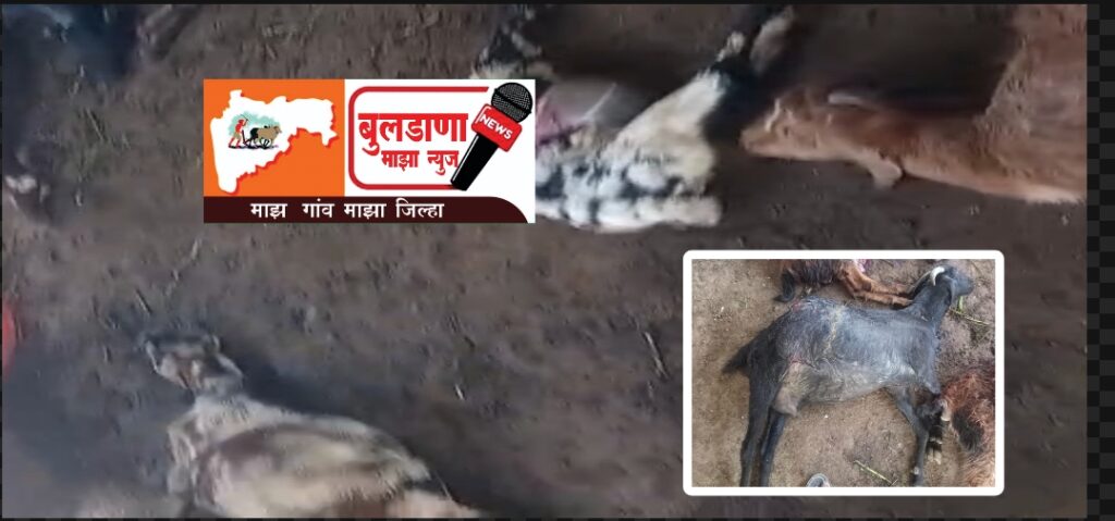 Screenshot_2026-01-20-08-31-22-64_3a637037d35f95c5dbcdcc75e697ce91