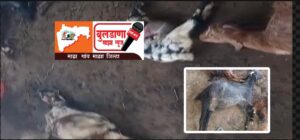 Screenshot_2026-01-20-08-31-22-64_3a637037d35f95c5dbcdcc75e697ce91