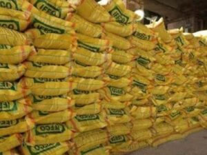 orig_new-project-14_1659809966