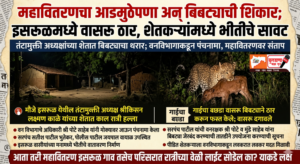 Picsart_26-03-31_21-58-11-169