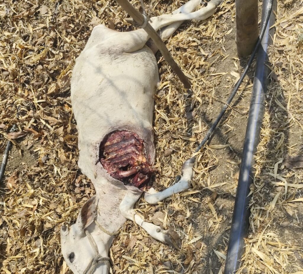 Screenshot_2026-04-22-08-02-04-73_6012fa4d4ddec268fc5c7112cbb265e7